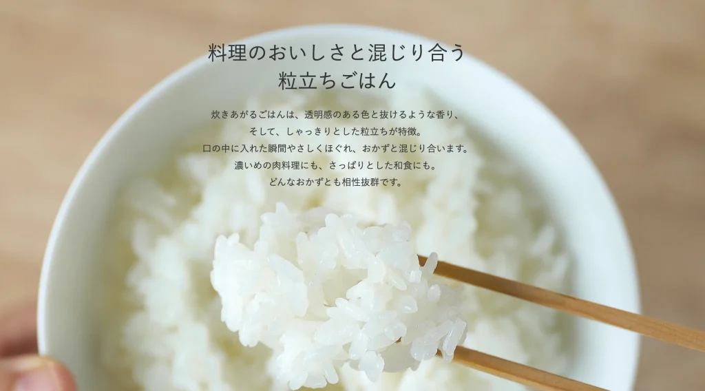 バルミューダの炊飯器は何がいいのか
