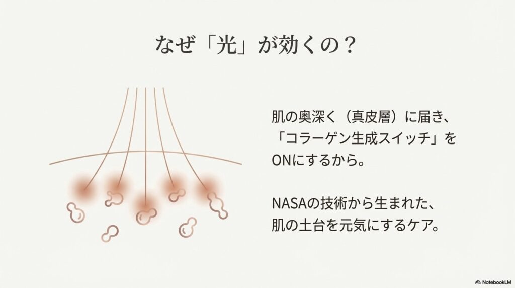 「光」が肌の奥を変える仕組み